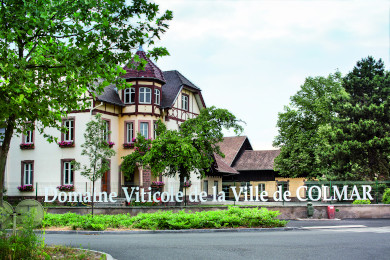 Nos propriétés et domaines viticoles en Alsace